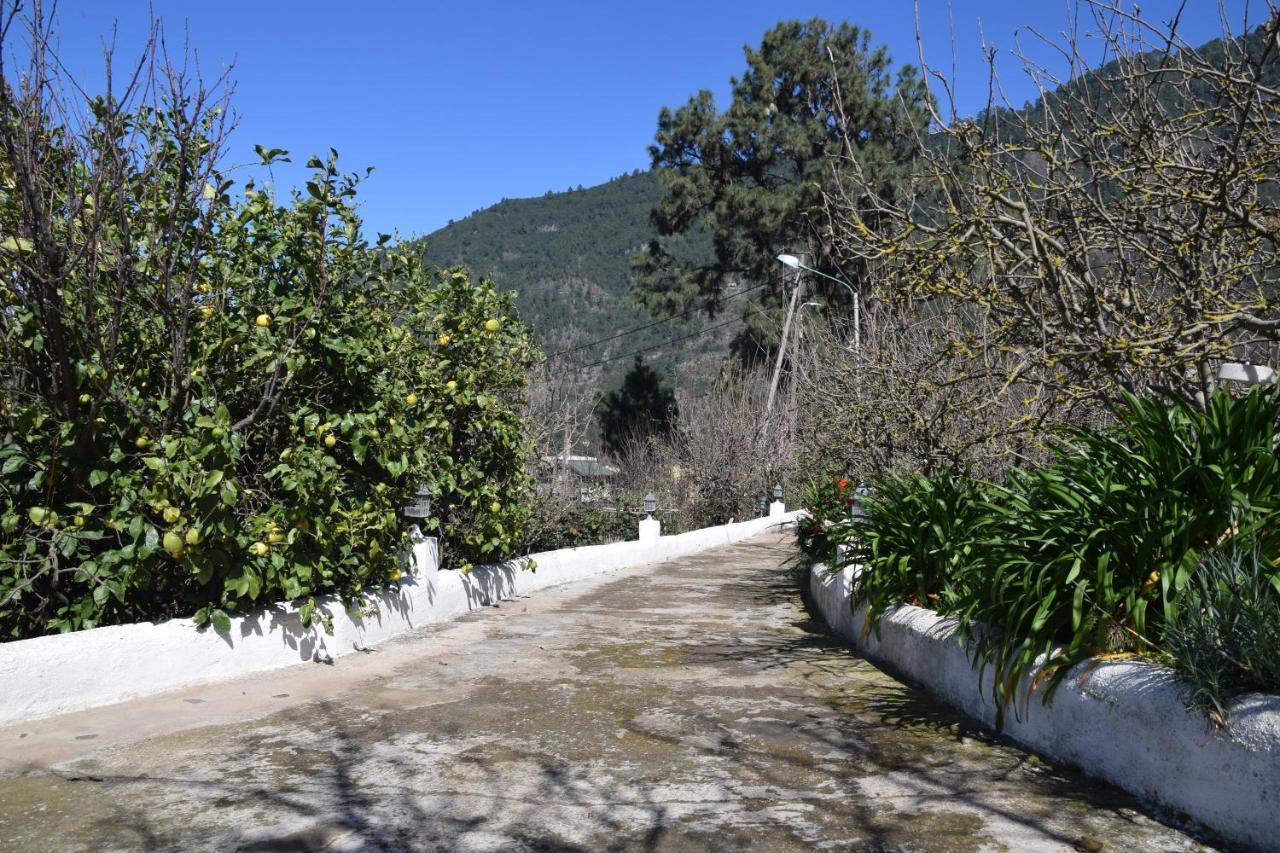 Casa Rural Juli Santa Cruz de Tenerife Zewnętrze zdjęcie